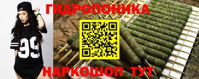 дурь Гатчина