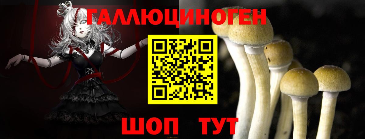 Галлюциногенные грибы Psilocybine cubensis  Вход с VPN  Трёхгорный 
